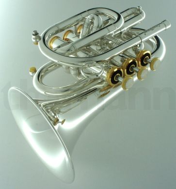 Bb-труба Carol Brass CPT-3000-GLS-Bb-SG