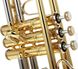 Bb-труба Bach 180-37 ML