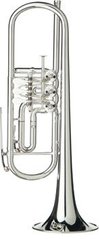 Bb-труба Gerd Dowids M-Series