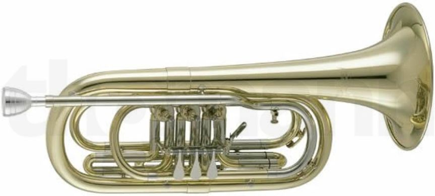 Труба Cerveny CVTR 590