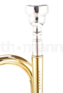 Bb-труба Thomann TR 400 G