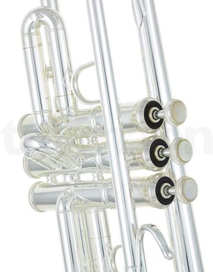Bb-труба Bach 180S-37 R ML