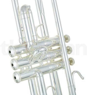Bb-труба Bach 180S-37 R ML