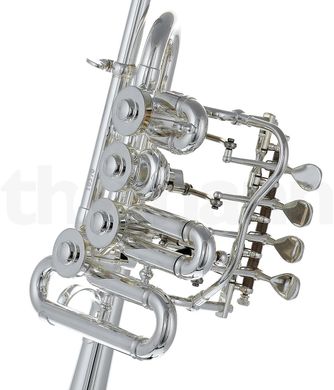 Труба-пикколо Schagerl Berlin S