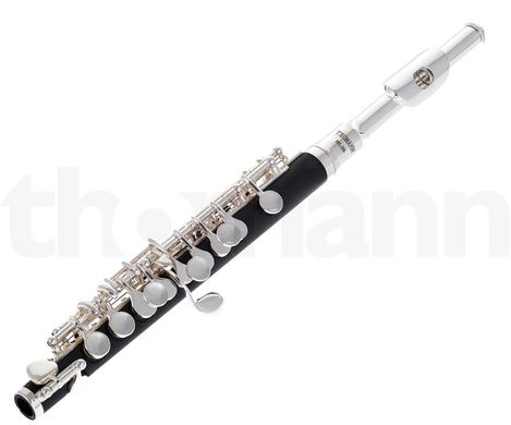 Флейта Thomann PFL-200