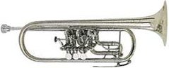 C-труба Johannes Scherzer 8217-S