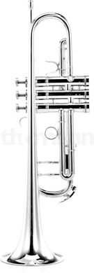 Bb-труба Adams A7 Gold Brass 0,45 Custom SP