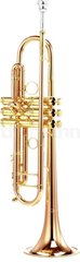 Bb-труба Carol Brass CTR-9990H-RSM-Bb-L