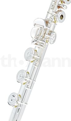 Флейта Pearl Elegante 795 RBE