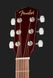 Акустическая гитара Fender FA-115 Pack