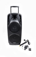 Мобильная акустическая система Ibiza PORT225VHF-BT
