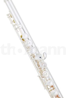 Флейта Azumi AZ-S2 E