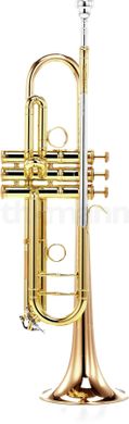 Bb-труба Carol Brass CTR-5060H-GSS-Bb-L