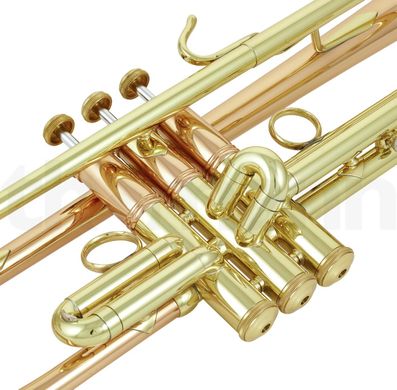 Bb-труба Bach LT1901B Commercial