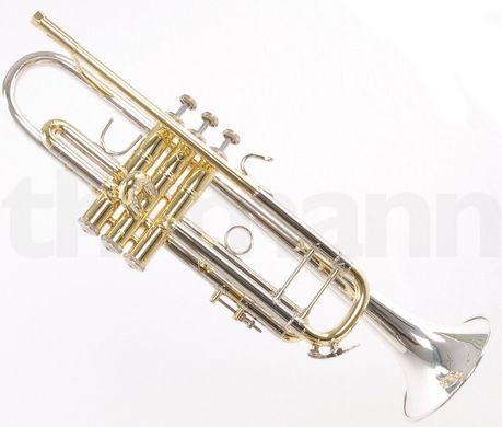 Bb-труба Bach 180-37 R ML