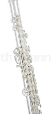 Флейта Azumi AZ-S2 RBE