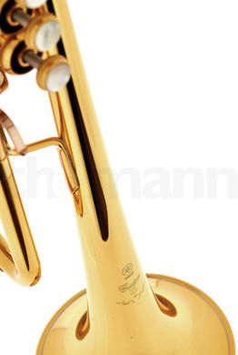 Bb-труба Yamaha YTR-8310 ZS 03