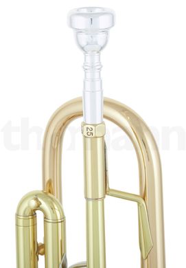 Bb-труба Bach LR 180-37S ML