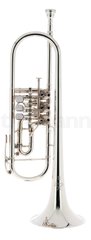 Bb-труба Yamaha YTR-938 FFM S