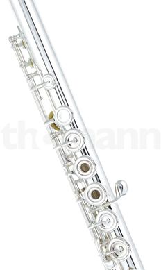 Флейта Azumi AZ-S2 RBI