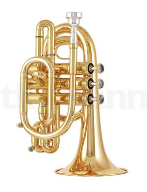 Bb-труба Kühnl & Hoyer Pocket G