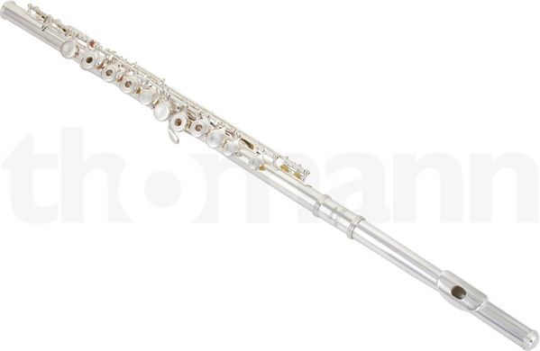 Флейта Thomann FL-300R