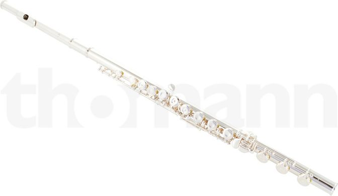 Флейта Muramatsu EX-III-CBE