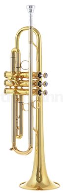 Bb-труба Kühnl & Hoyer Universal 110 14J