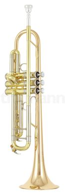 Bb-труба Yamaha YTR-8335RGS
