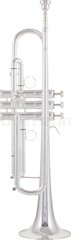 Bb-труба Kühnl & Hoyer Topline Brass S