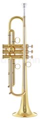 Bb-труба Kühnl & Hoyer Universal 110 14J
