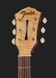 Электроакустическая гитара Fender FA-345CE