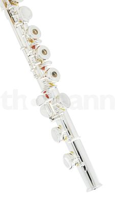 Флейта Thomann FL-1000 RI
