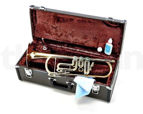 Bb-труба Yamaha YTR-436 G