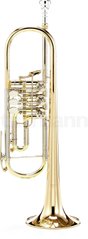 Bb-труба Yamaha YTR-436 G