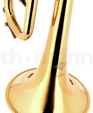 Bb-труба Thomann TR-6000S Legend