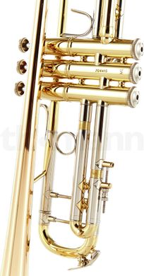 Bb-труба Bach 180-37G ML