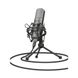 Микрофон Trust GXT 242 Lance streaming microphone (22614)