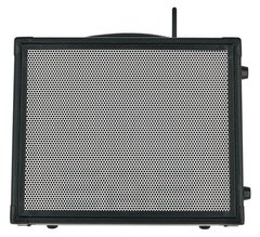 Elite Acoustics M2-6 Acoustic Amplifier