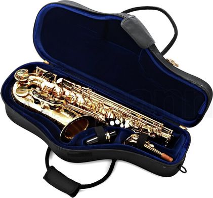 Альт-саксофон P.Mauriat PMSA-76 GL